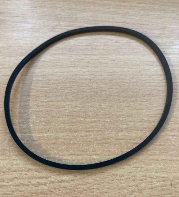 Gauge O Ring - Large